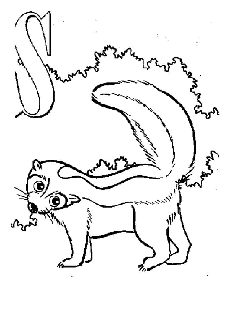 Dibujo gratuito Mofeta #205283 de la coleccion Animales para imprimir
