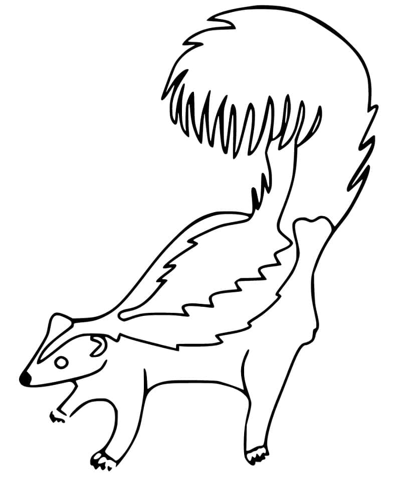 Dibujo gratuito Mofeta #205309 de la coleccion Animales para imprimir