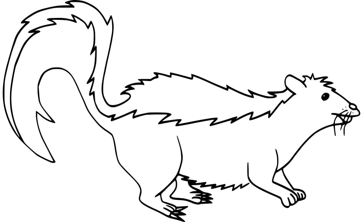 Dibujo gratuito Mofeta #205310 de la coleccion Animales para imprimir