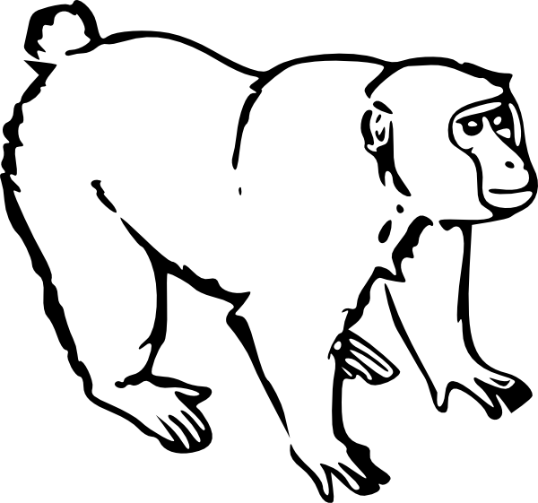 Dibujo para colorear: Mono (Animales) #14173 - Dibujos para Colorear e Imprimir Gratis