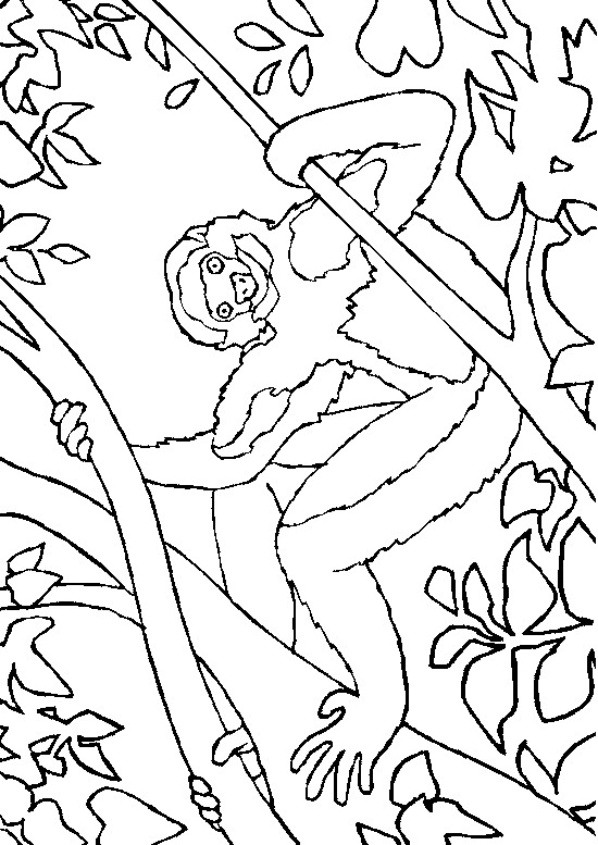 Dibujo para colorear: Mono (Animales) #14185 - Dibujos para Colorear e Imprimir Gratis