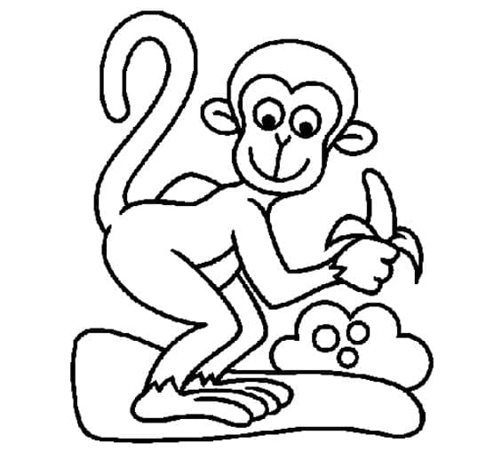 Dibujo gratuito Mono #175047 de la coleccion Animales para imprimir