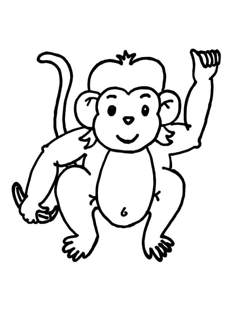 Dibujo gratuito Mono #175052 de la coleccion Animales para imprimir