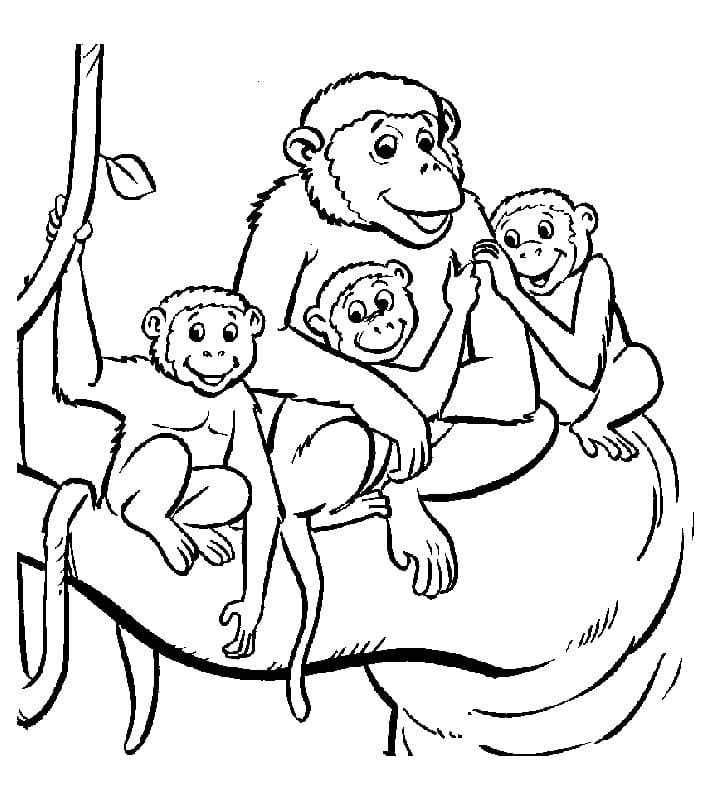 Dibujo gratuito Mono #216797 de la coleccion Animales para imprimir