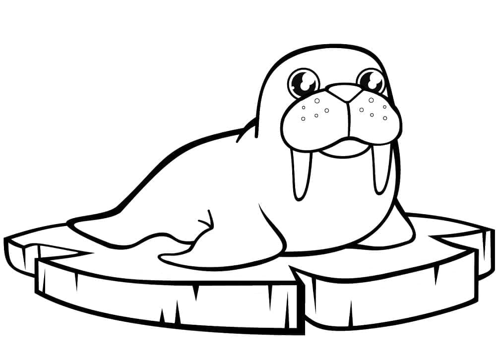 Dibujo gratuito Morsa #208650 de la coleccion Animales para imprimir