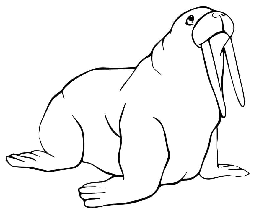 Dibujo gratuito Morsa #208655 de la coleccion Animales para imprimir