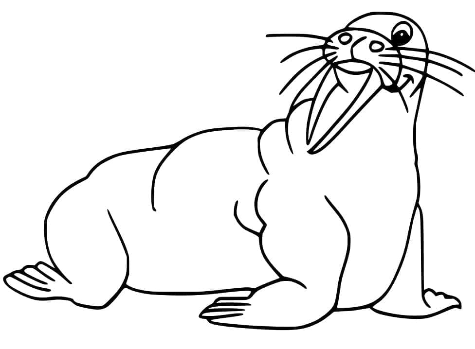 Dibujo gratuito Morsa #208656 de la coleccion Animales para imprimir