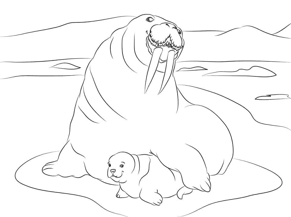 Dibujo gratuito Morsa #208664 de la coleccion Animales para imprimir