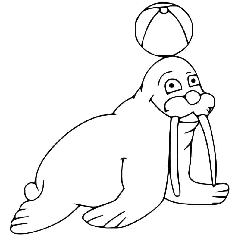 Dibujo gratuito Morsa #208668 de la coleccion Animales para imprimir