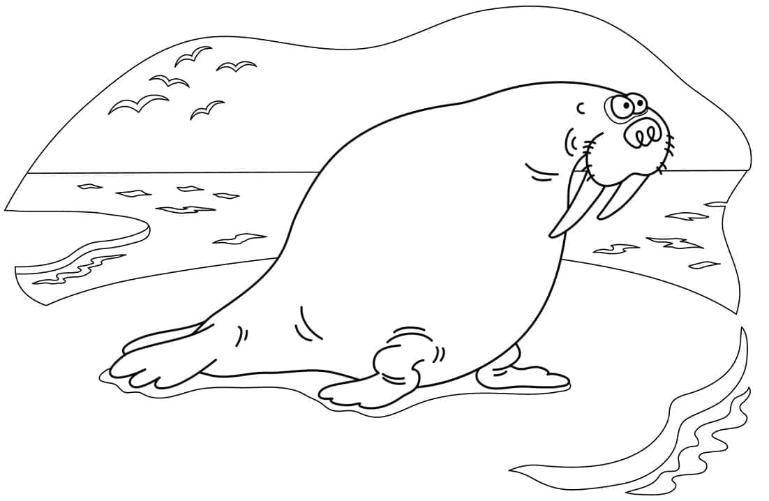 Dibujo gratuito Morsa #208671 de la coleccion Animales para imprimir