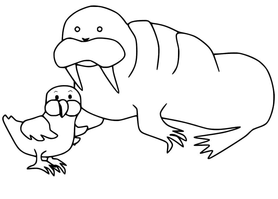 Dibujo gratuito Morsa #208674 de la coleccion Animales para imprimir