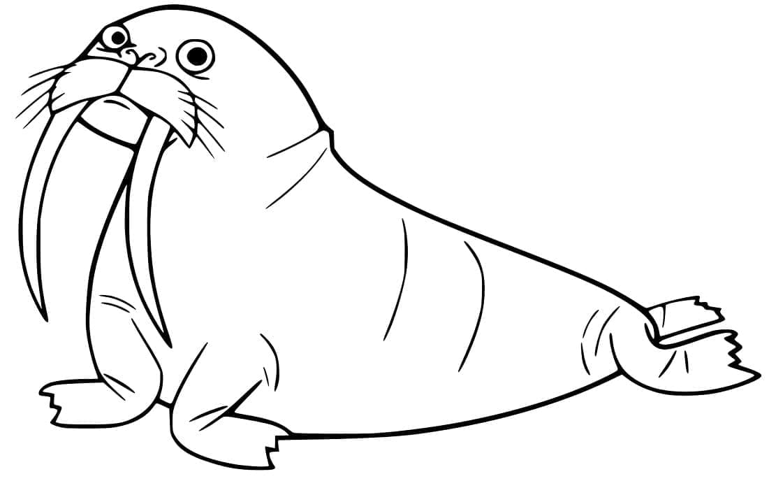 Dibujo gratuito Morsa #208677 de la coleccion Animales para imprimir