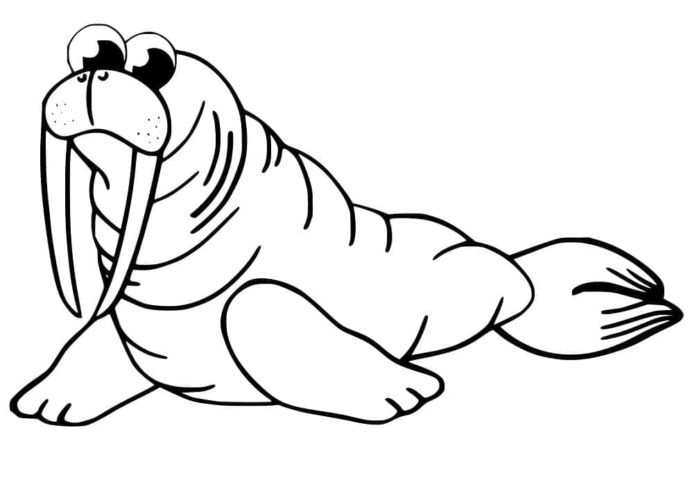 Dibujo gratuito Morsa #208681 de la coleccion Animales para imprimir
