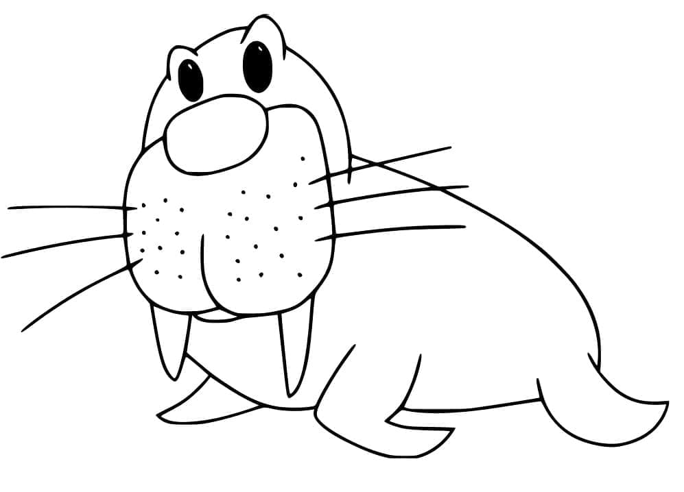 Dibujo gratuito Morsa #208682 de la coleccion Animales para imprimir