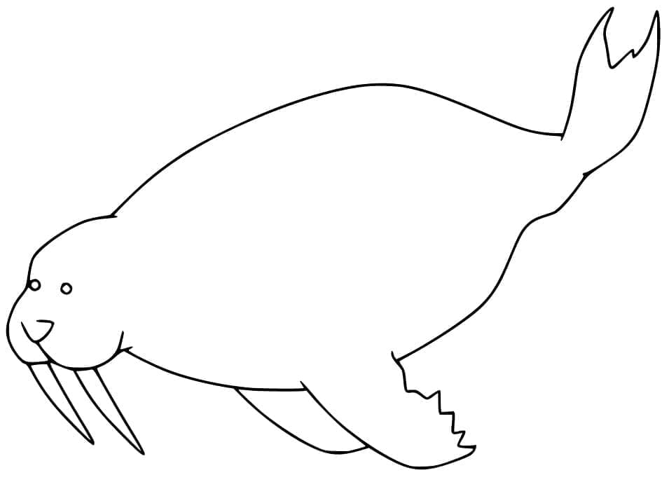 Dibujo gratuito Morsa #208686 de la coleccion Animales para imprimir