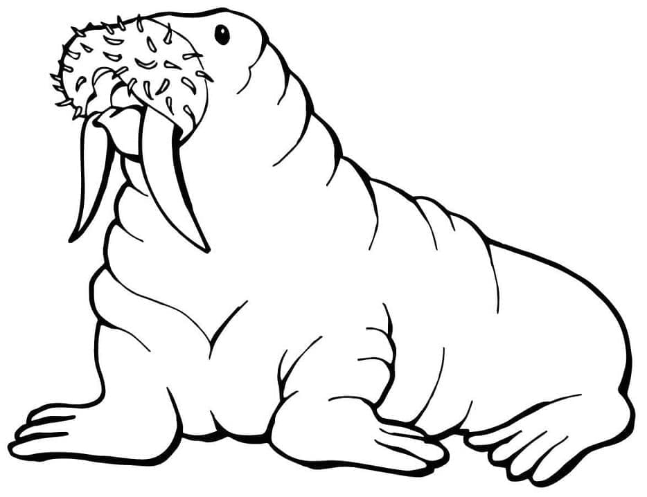 Dibujo gratuito Morsa #208689 de la coleccion Animales para imprimir