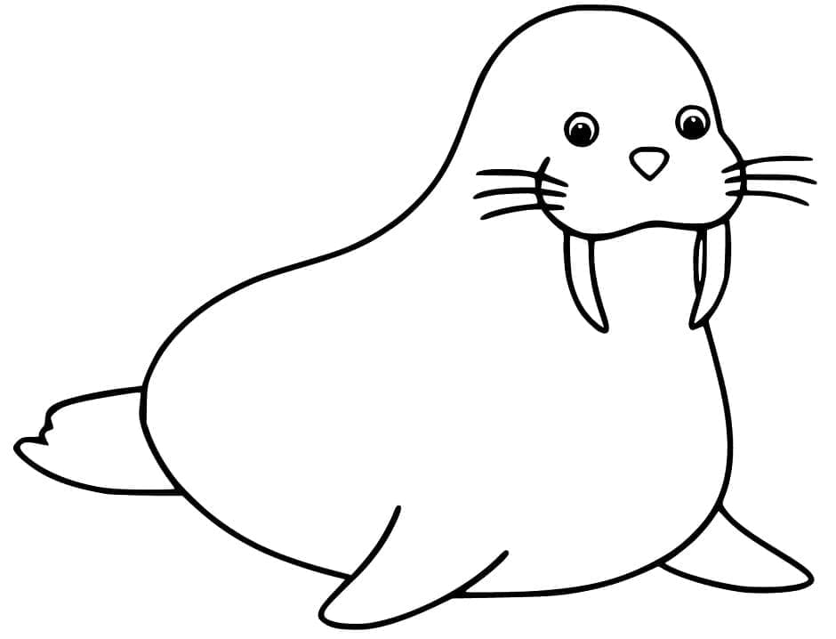 Dibujo gratuito Morsa #208701 de la coleccion Animales para imprimir