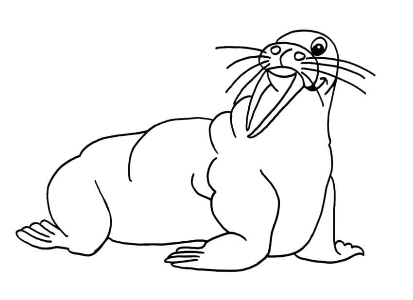 Dibujo gratuito Morsa #208705 de la coleccion Animales para imprimir