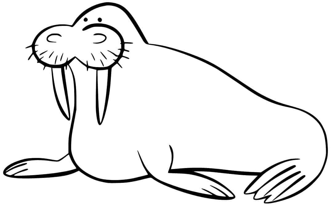 Dibujo gratuito Morsa #208712 de la coleccion Animales para imprimir