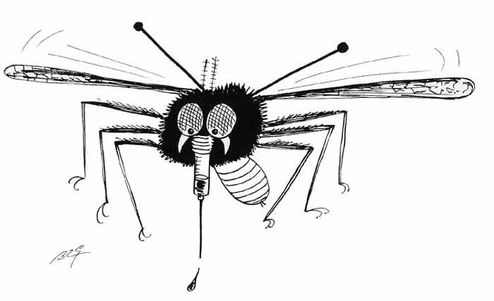 Dibujo para colorear: Mosquito (Animales) #11341 - Dibujos para Colorear e Imprimir Gratis