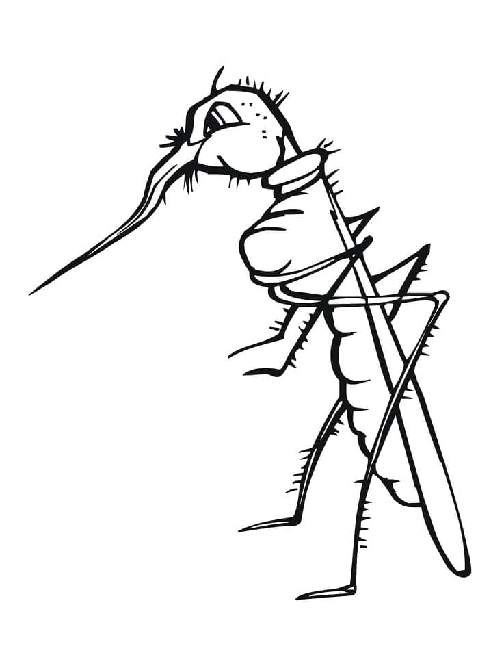 Dibujo para colorear: Mosquito (Animales) #207163 - Dibujos para Colorear e Imprimir Gratis