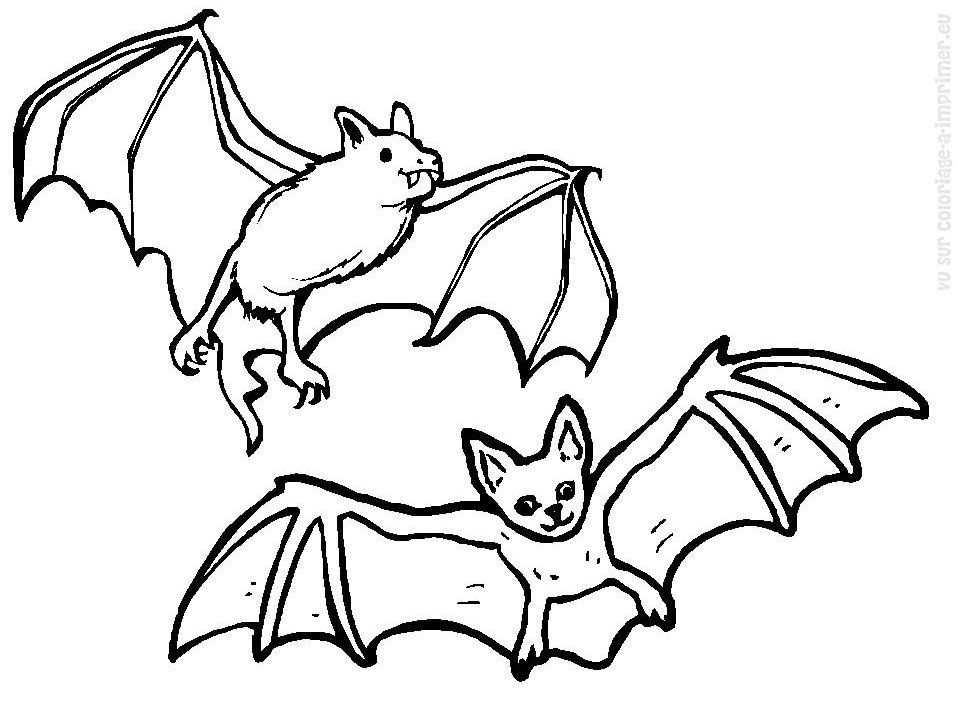 Dibujo gratuito Murciélago #1974 de la coleccion Animales para imprimir