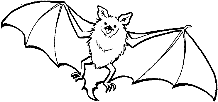 Dibujo gratuito Murciélago #1976 de la coleccion Animales para imprimir