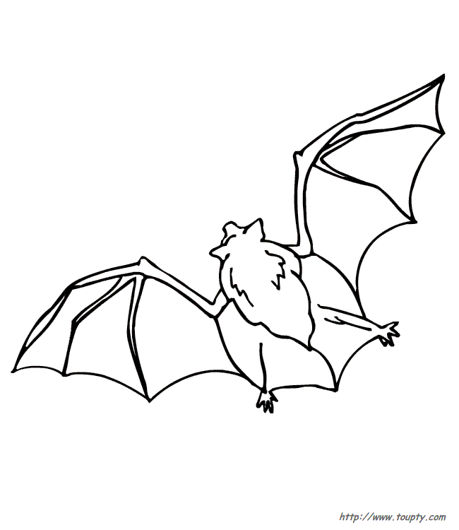 Dibujo gratuito Murciélago #1990 de la coleccion Animales para imprimir
