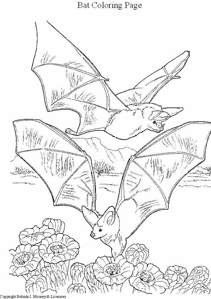 Dibujo gratuito Murciélago #2027 de la coleccion Animales para imprimir