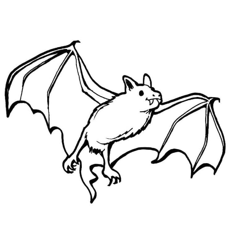 Dibujo gratuito Murciélago #212473 de la coleccion Animales para imprimir