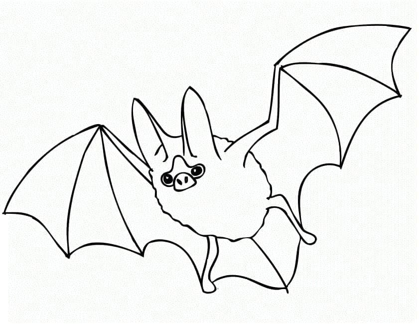 Dibujo gratuito Murciélago #212479 de la coleccion Animales para imprimir