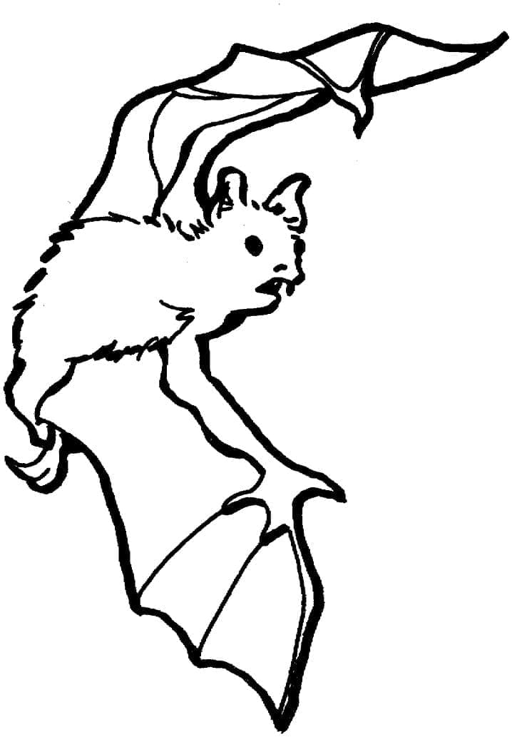 Dibujo gratuito Murciélago #212497 de la coleccion Animales para imprimir