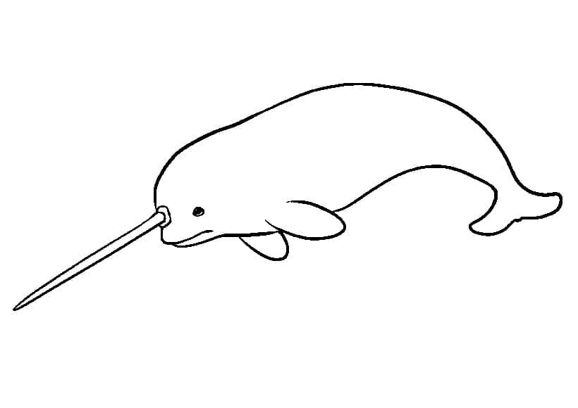 Dibujo gratuito Narval #186657 de la coleccion Animales para imprimir