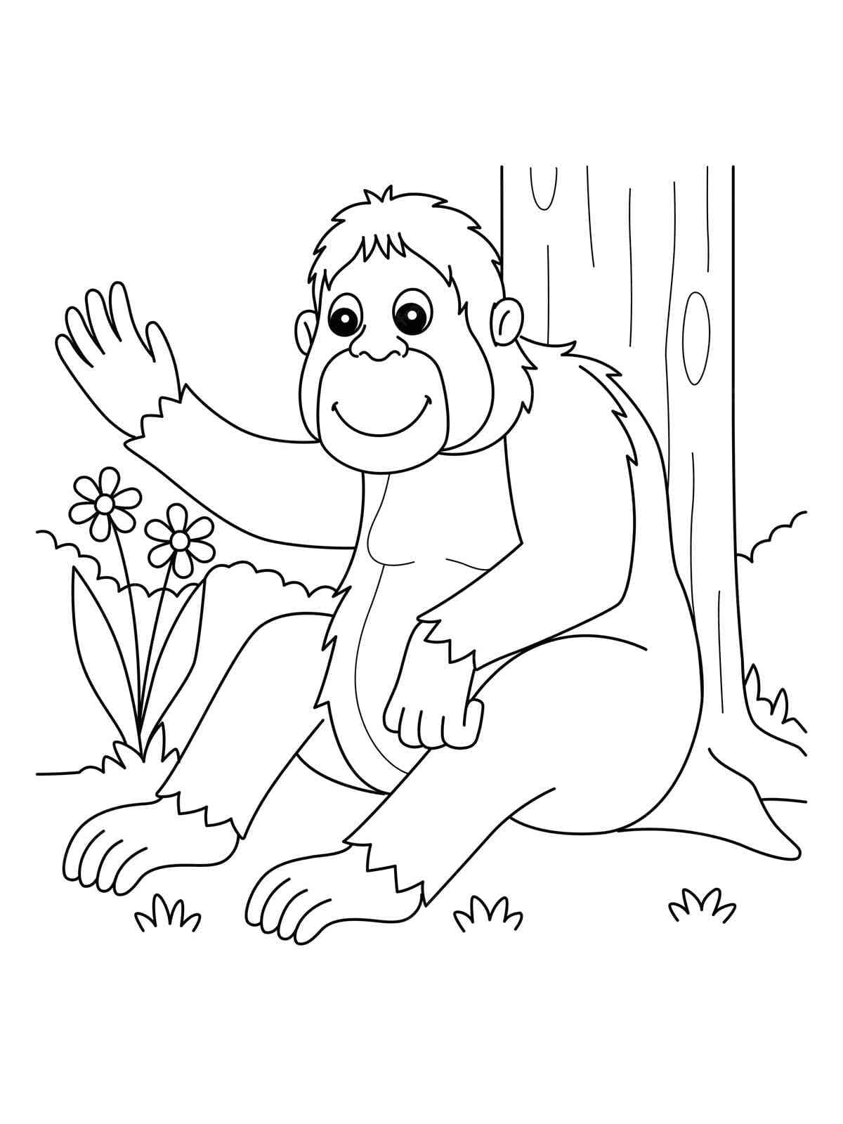 Dibujo gratuito Orangután #191566 de la coleccion Animales para imprimir
