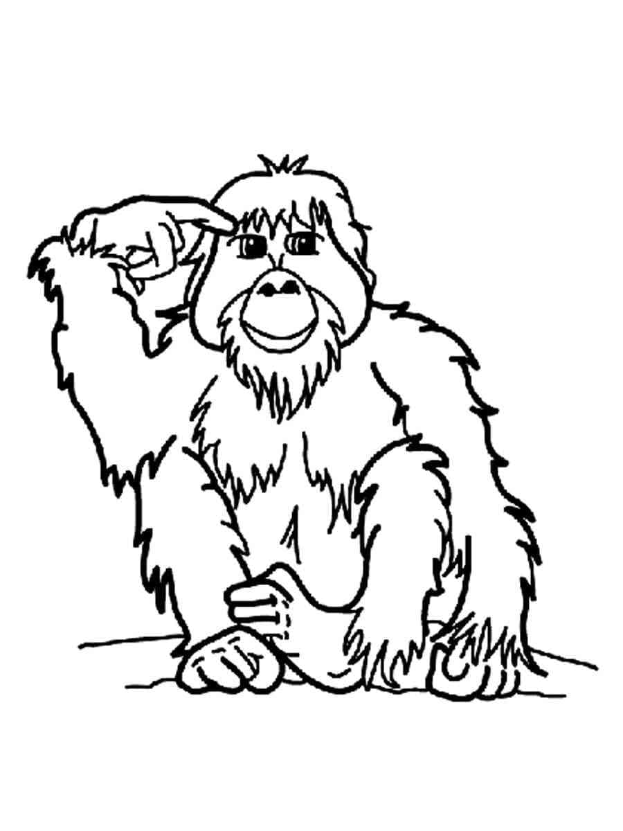 Dibujo gratuito Orangután #191572 de la coleccion Animales para imprimir