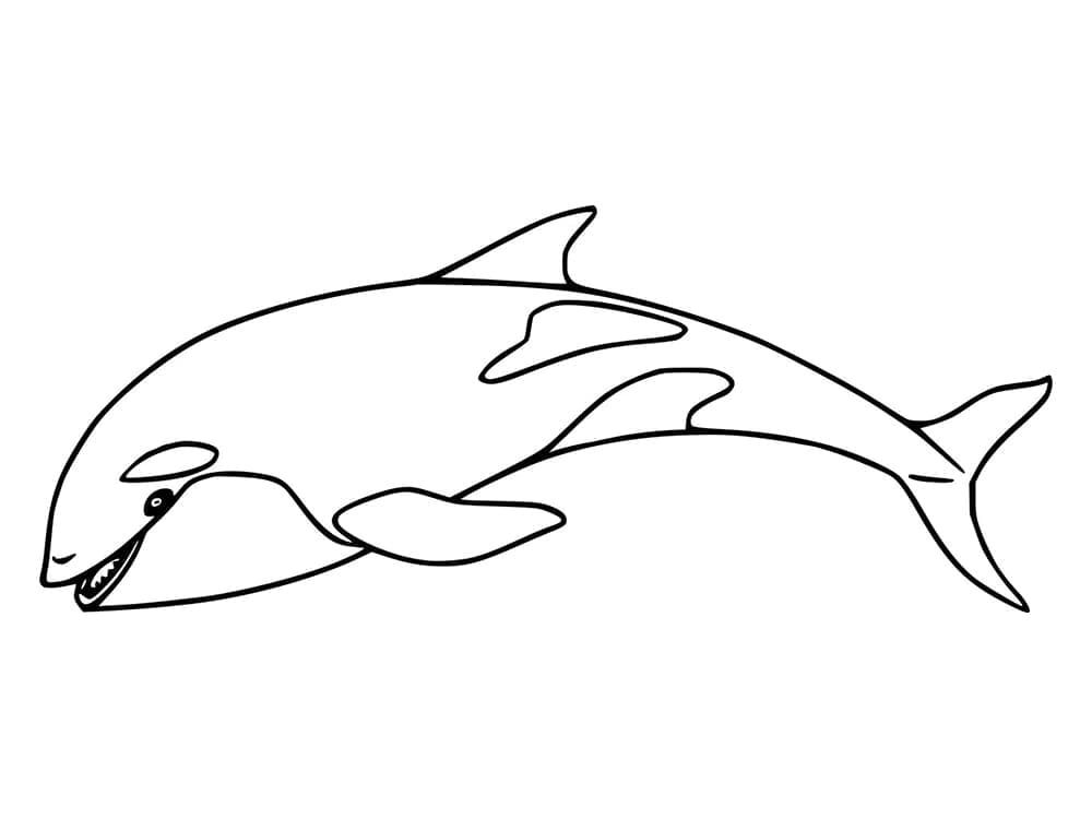 Dibujo gratuito Orca #213452 de la coleccion Animales para imprimir