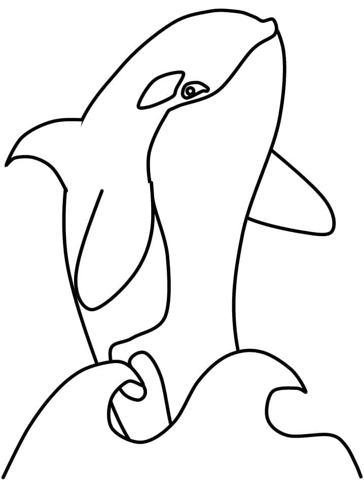 Dibujo gratuito Orca #213455 de la coleccion Animales para imprimir