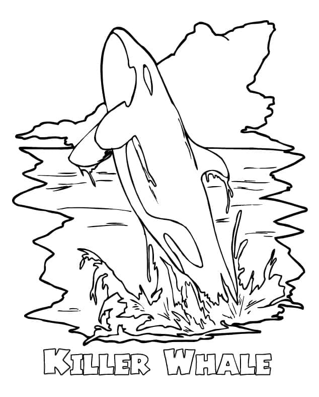Dibujo gratuito Orca #213457 de la coleccion Animales para imprimir