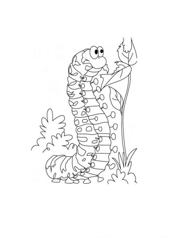 Dibujo gratuito Oruga #210388 de la coleccion Animales para imprimir