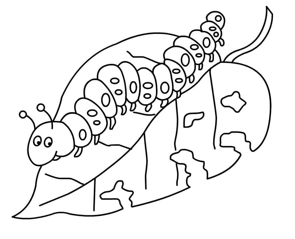 Dibujo gratuito Oruga #210393 de la coleccion Animales para imprimir