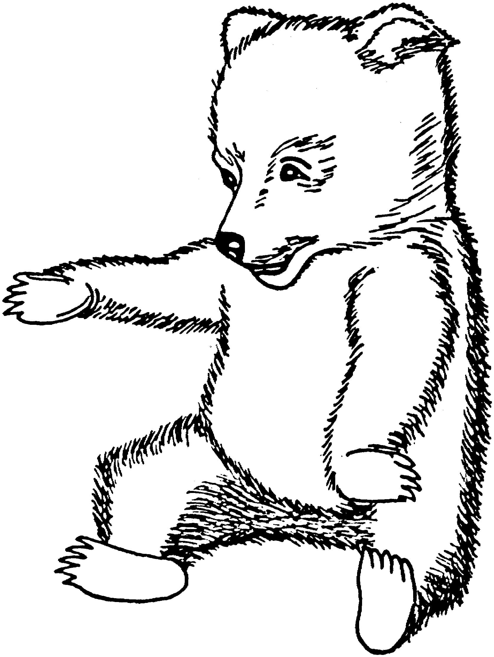 Dibujo gratuito Osito #214460 de la coleccion Animales para imprimir