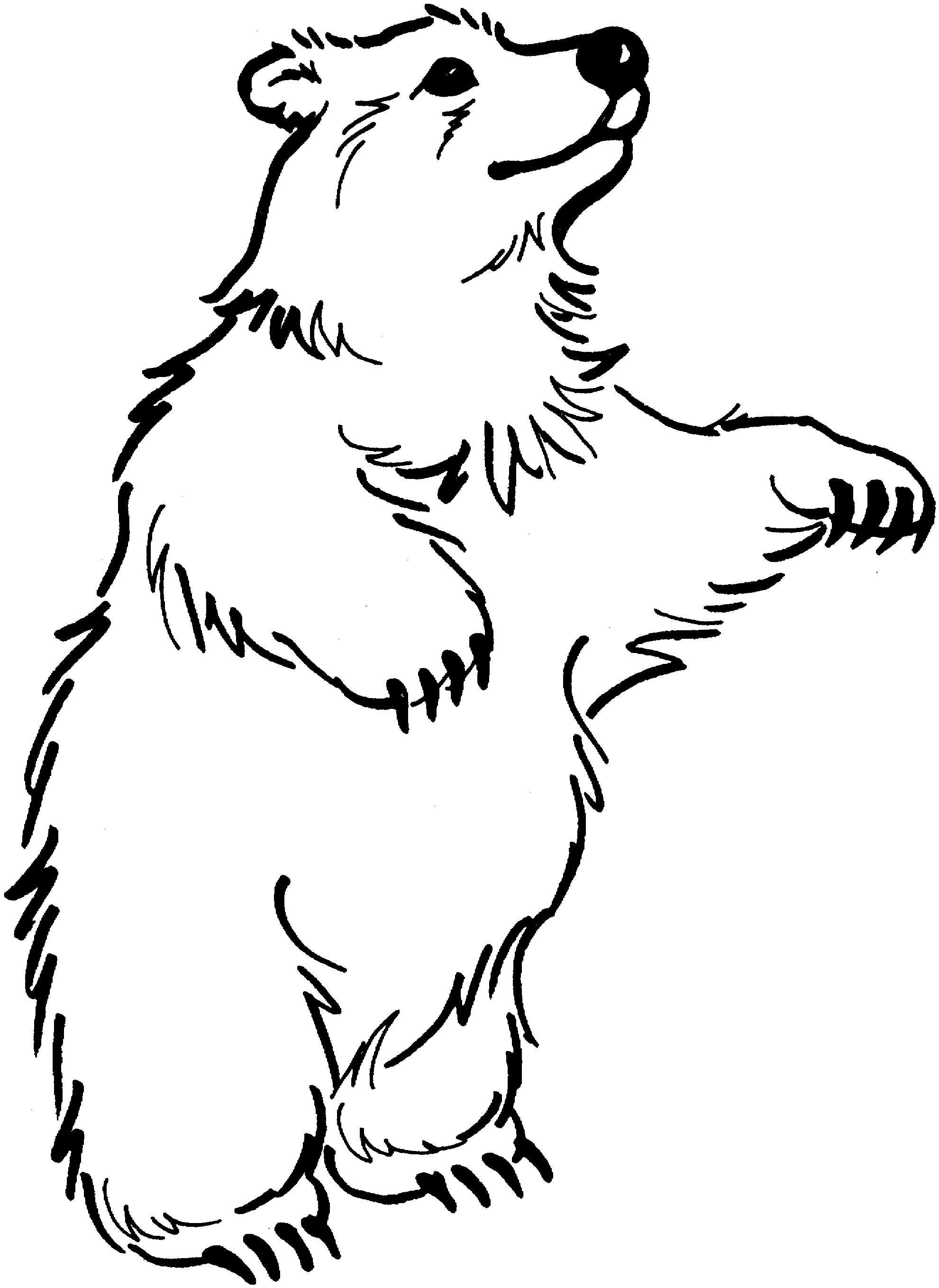 Dibujo para colorear: Oso (Animales) #12283 - Dibujos para Colorear e Imprimir Gratis