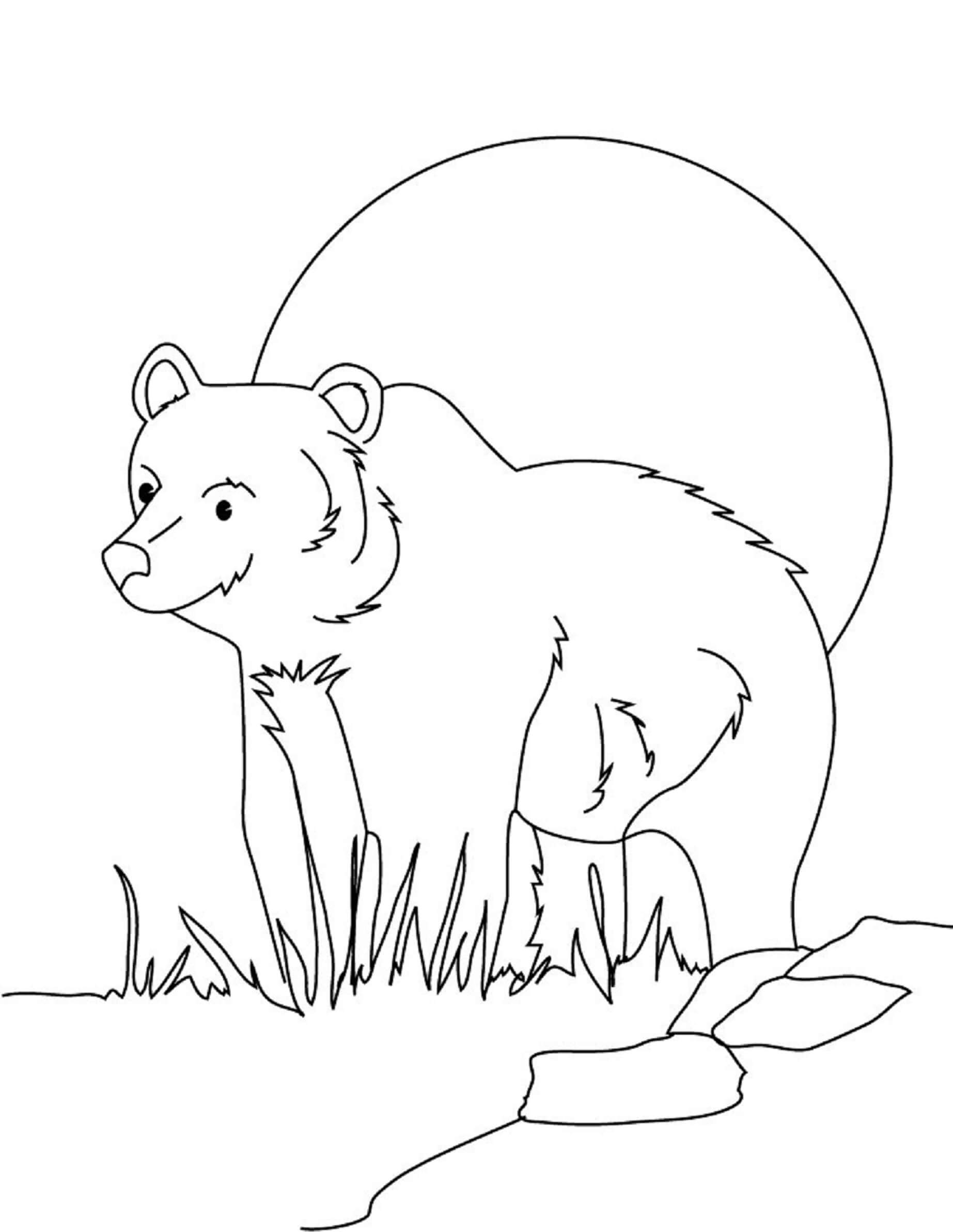 Dibujo gratuito Oso #217197 de la coleccion Animales para imprimir