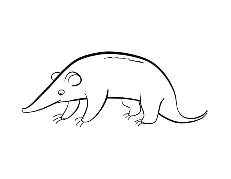 Dibujo gratuito Oso Hormiguero #219654 de la coleccion Animales para imprimir