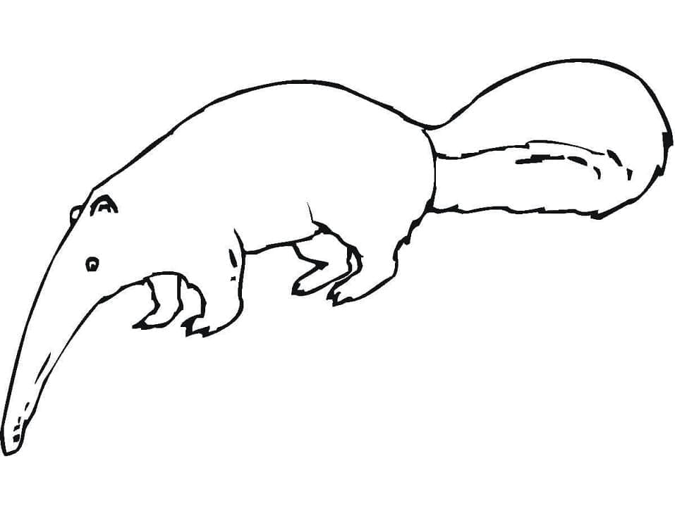 Dibujo gratuito Oso Hormiguero #219656 de la coleccion Animales para imprimir