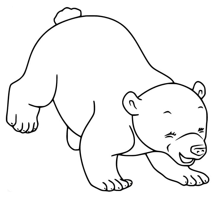 Dibujo gratuito Oso Polar #201224 de la coleccion Animales para imprimir