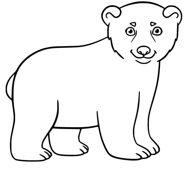 Dibujo gratuito Oso Polar #201226 de la coleccion Animales para imprimir
