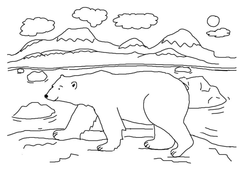 Dibujo gratuito Oso Polar #201260 de la coleccion Animales para imprimir
