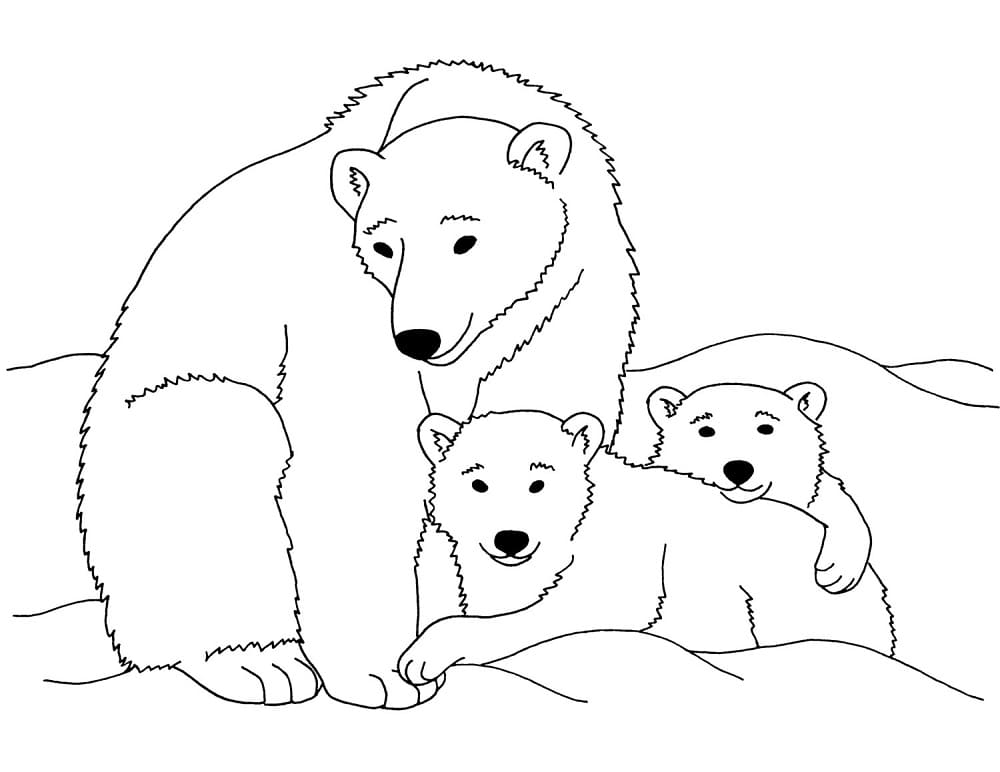 Dibujo para colorear: Oso Polar (Animales) #201262 - Dibujos para Colorear e Imprimir Gratis