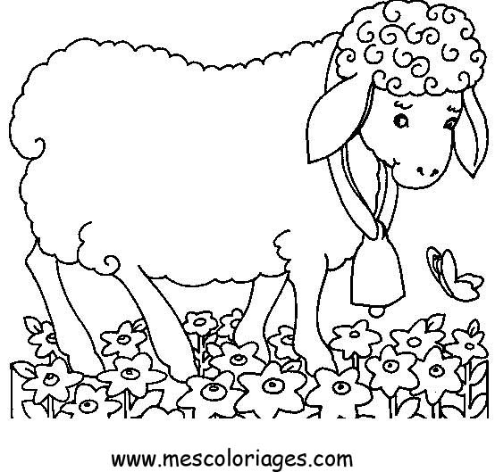 Dibujo para colorear: Oveja (Animales) #11429 - Dibujos para Colorear e Imprimir Gratis